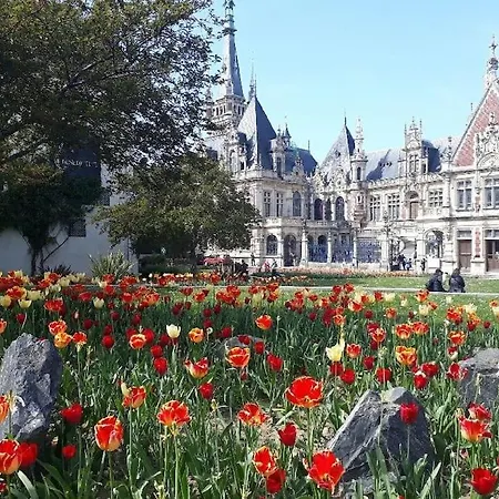 Maison Avec Grand Jardin Et Terrasse Dans Quartier De La Benedictine