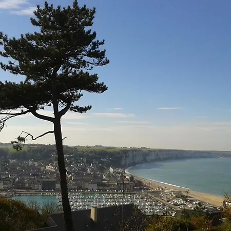 Maison Avec Grand Jardin Et Terrasse Dans Quartier De La Bénédictine *