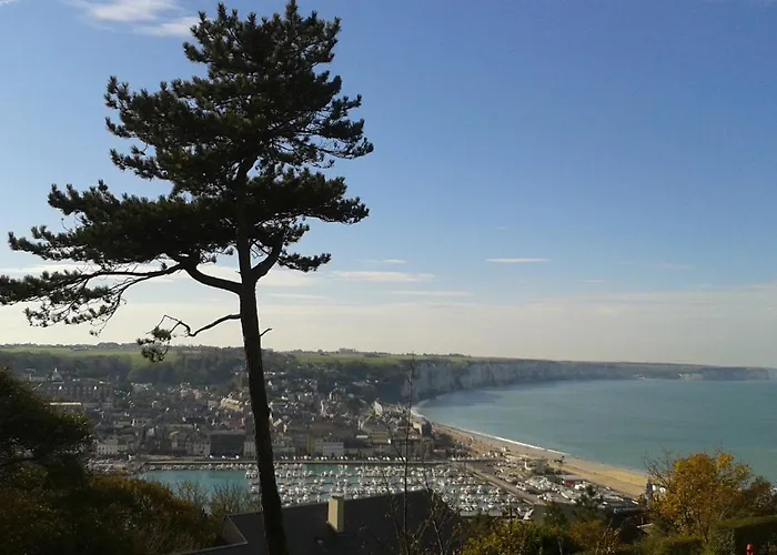 Maison Avec Grand Jardin Et Terrasse Dans Quartier De La Bénédictine *